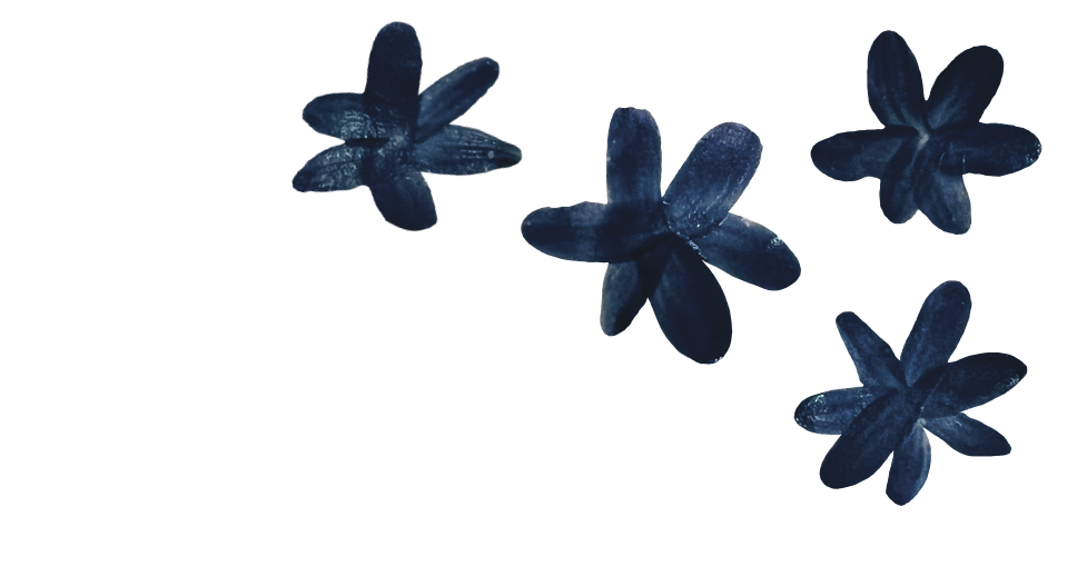 Motifs fleurs étoiles de Martha Stahlkopf
