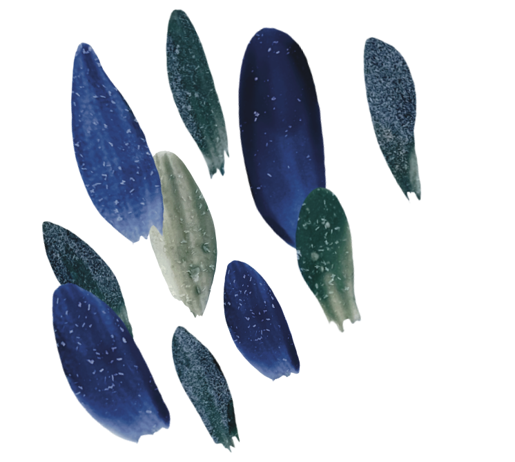 Motifs végétaux des céramiques de Martha Stahlkopf