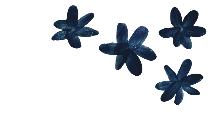 Martha Stahlkopf motifs fleurs