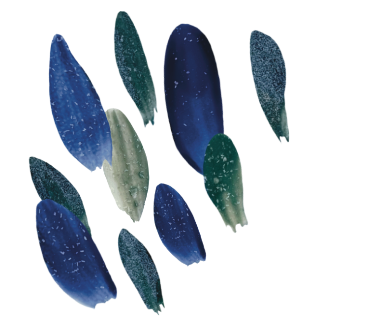 Martha Stahlkopf motifs végétaux